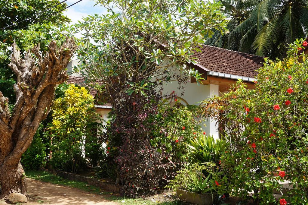 Tandem Guesthouse Hikkaduwa Exterior foto